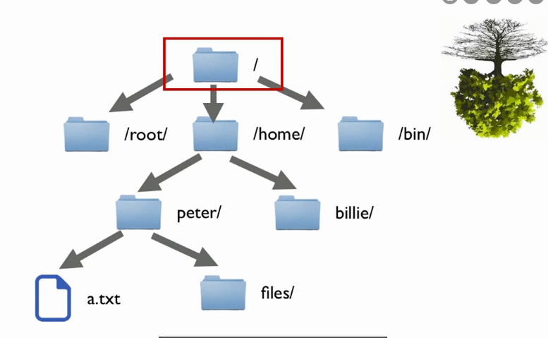 Linux路径命令及shell脚本