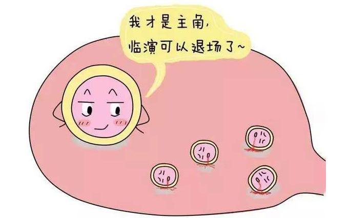 什么是卵泡生长发育过程,卵泡监测不长大促排是什么原因