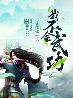 我不会武功小说封面