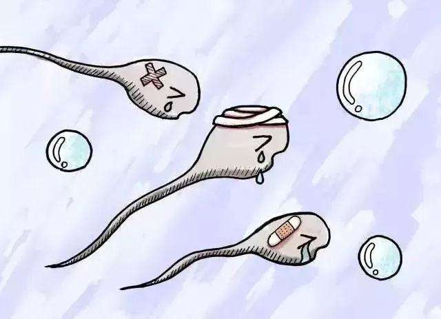 什么是弱精少精?备孕中检查出弱精,精子活力差该怎么办