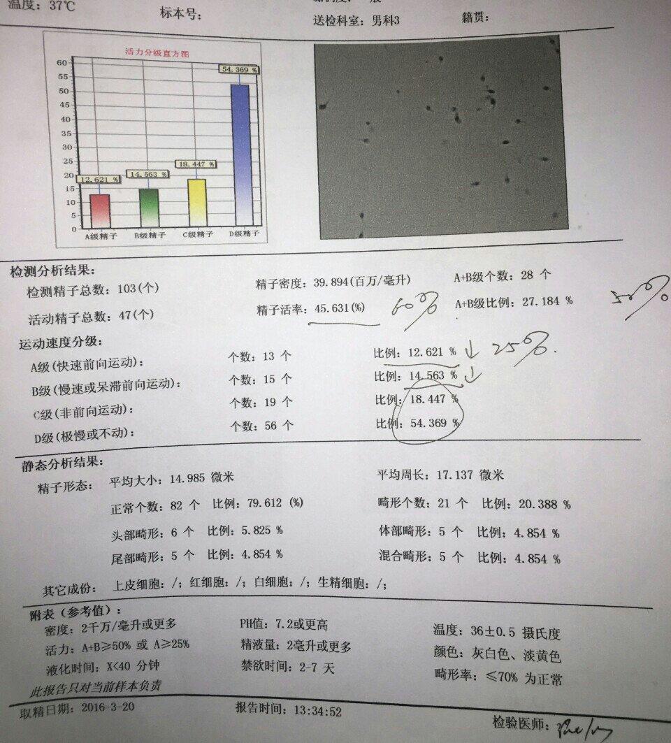 弱精检验分析结果