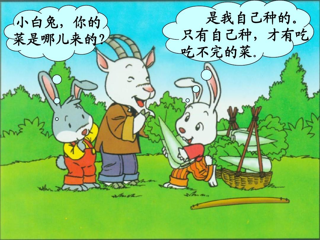 小白兔和小灰兔与白菜