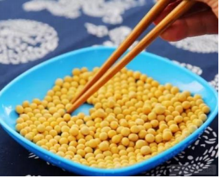 挑豆子训练
