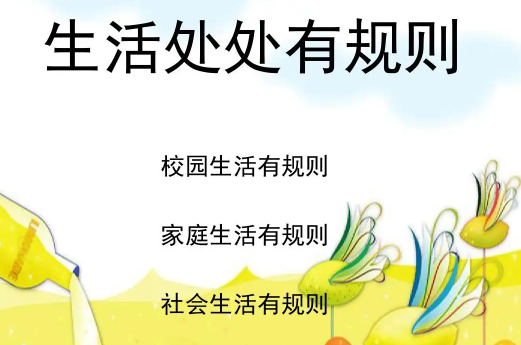 生活中处处有规则