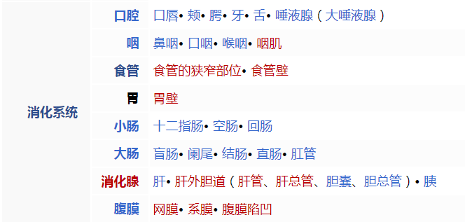 消化系统组成有哪些？消化系统紊乱导致疾病症状怎么治疗